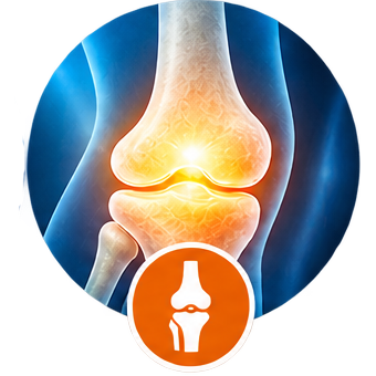 Orthopaedic