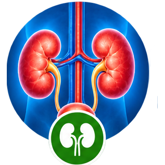Urology
